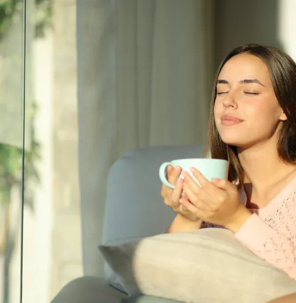 Contenido Plan renove